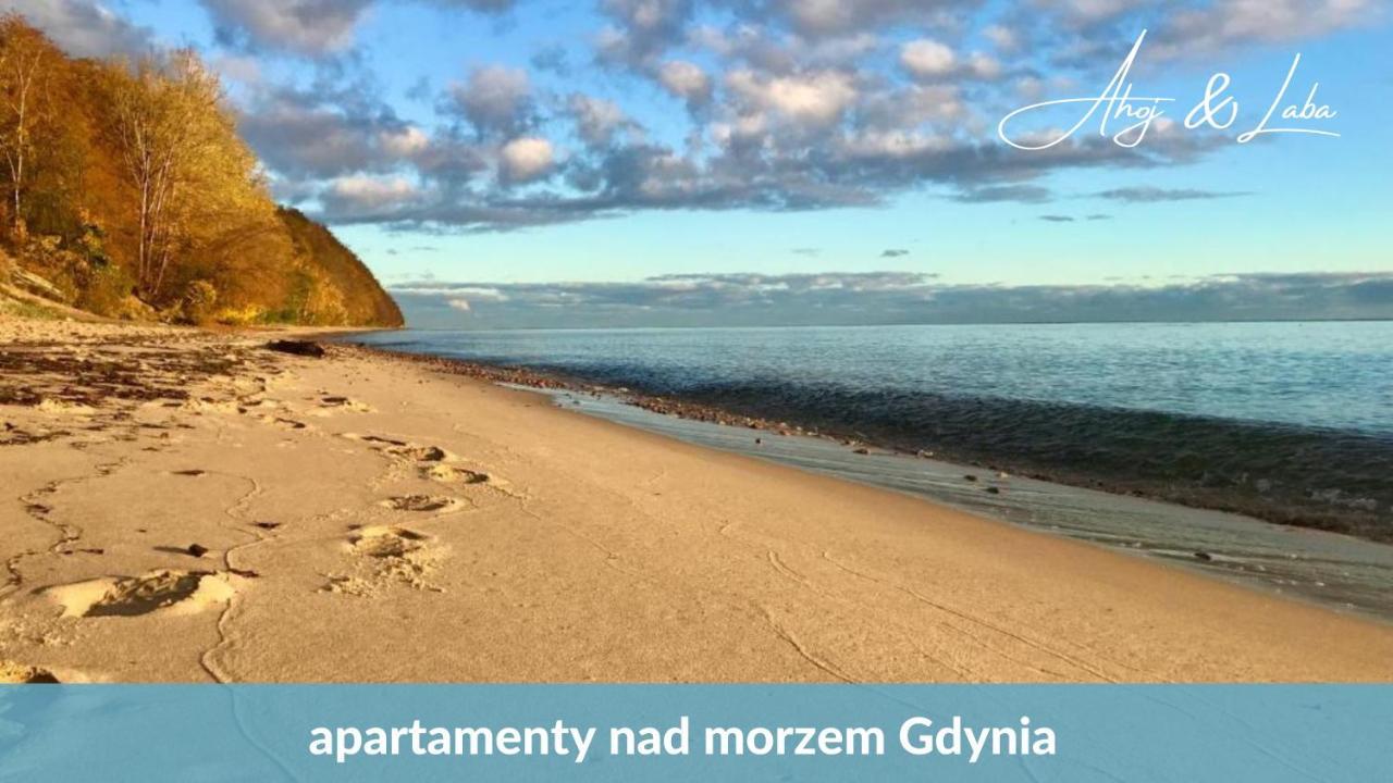 Laba - Basen, Blisko Plazy, Cisza, Taras, Parking, Bezplatne Wifi, Wyjatkowy! Apartment Гдиня Екстериор снимка