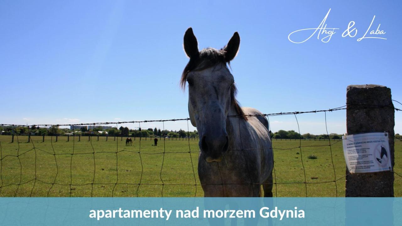 Laba - Basen, Blisko Plazy, Cisza, Taras, Parking, Bezplatne Wifi, Wyjatkowy! Apartment Гдиня Екстериор снимка