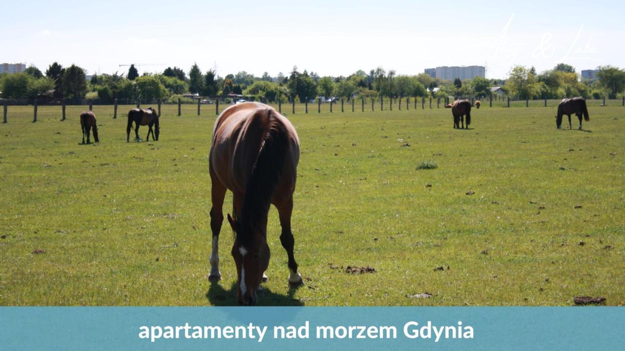 Laba - Basen, Blisko Plazy, Cisza, Taras, Parking, Bezplatne Wifi, Wyjatkowy! Apartment Гдиня Екстериор снимка